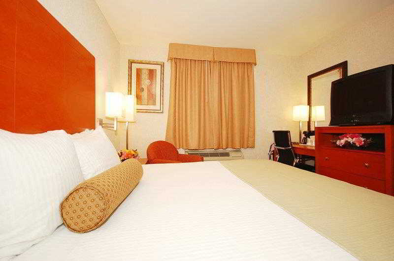 Best Western Jfk Airport Hotel New York Room photo